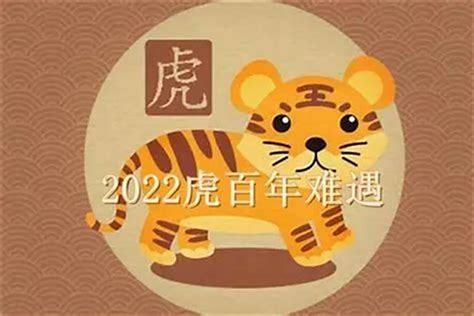 2022年虎寶寶幾月出生最好|2022虎年